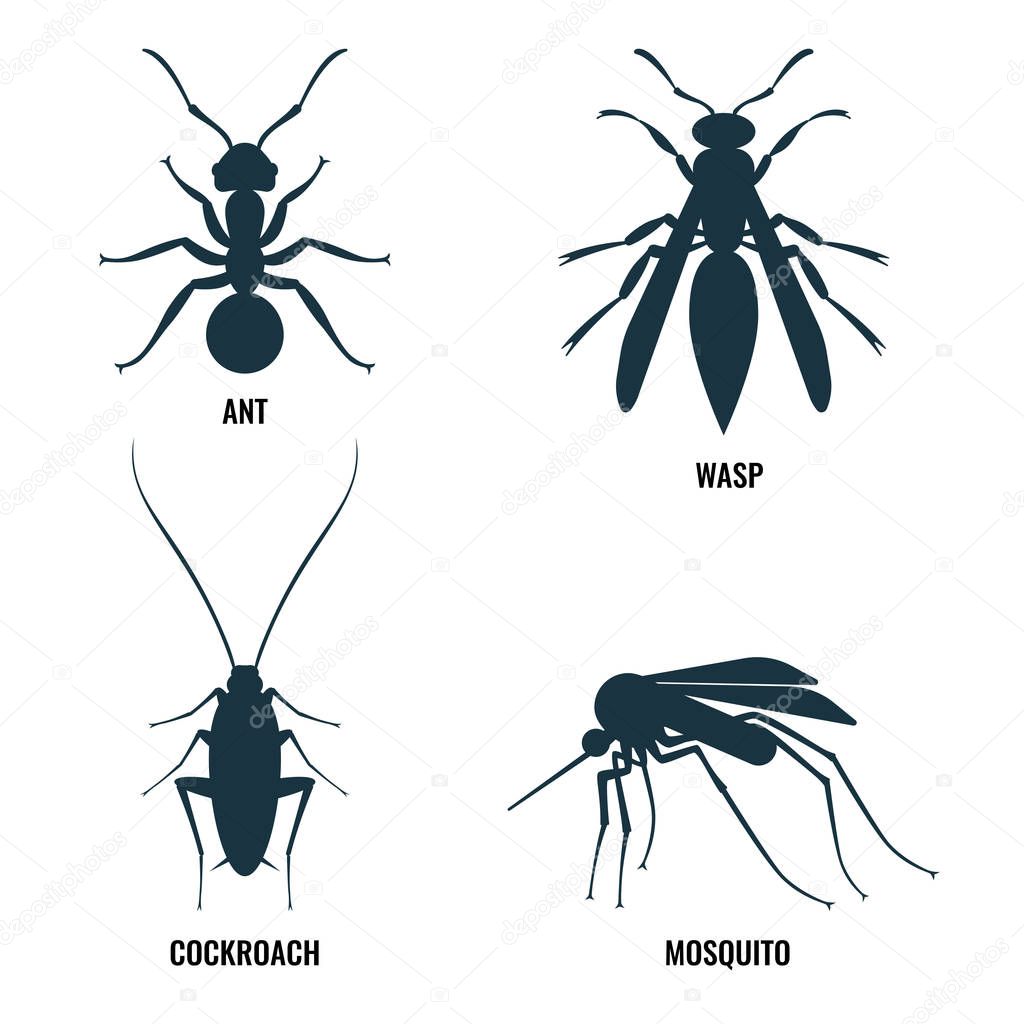 Ant and wasp, cockroach and mosquito vector illustration
