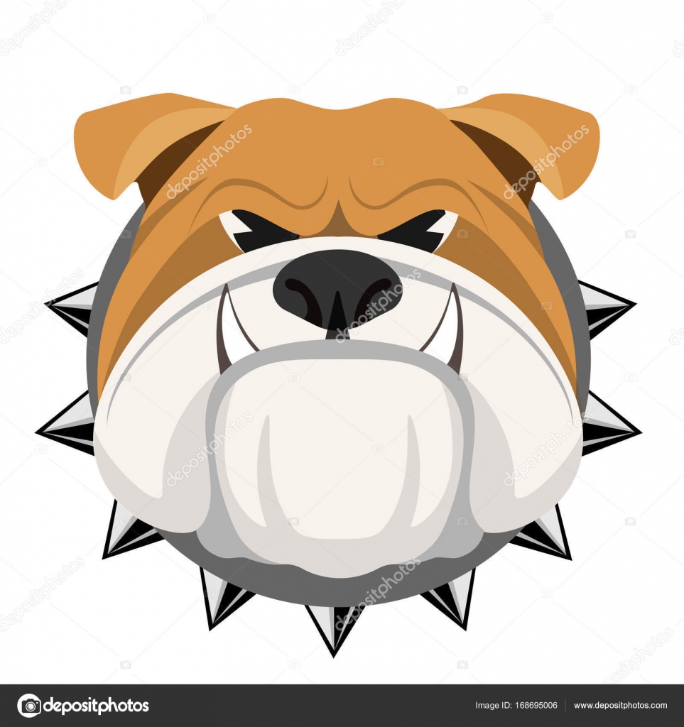 Angry Bulldog Face In Metal Collar Vector Realistic Illustration Vector Image By C Godruma Vector Stock 168695006