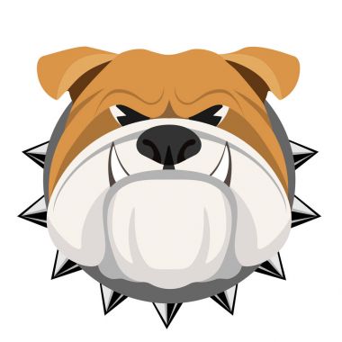 Angry bulldog face in metal collar vector realistic illustration. clipart
