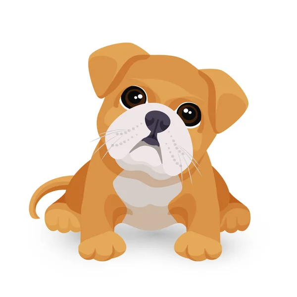 Bulldog cachorro lindo juguete en blanco y beige vector de color — Archivo Imágenes Vectoriales