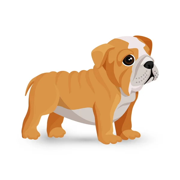 Bulldog cachorro lindo juguete en blanco y beige vector de color — Archivo Imágenes Vectoriales