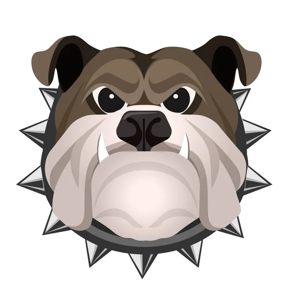 Boos bulldog gezicht in metalen kraag realistische vectorillustratie. — Stockvector