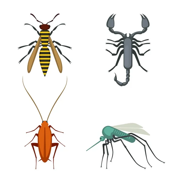 Collectie van iconen van kleurrijke insecten op vectorillustratie — Stockvector