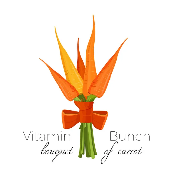 Karottenbündel gebunden mit Petersilie, grünem Spinat und Mangold — Stockvektor