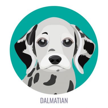 Metin ile yeşil daire vektör çizimde Dalmaçya köpek yavrusu