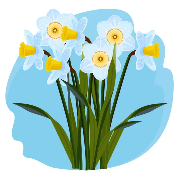 Boeket van verse aromatische narcissen van de licht blauwe kleur — Stockvector