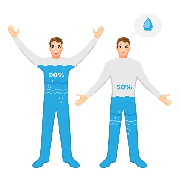 Vodu obsahují v lidském těle a nebezpečné dehydratace — Stockový vektor