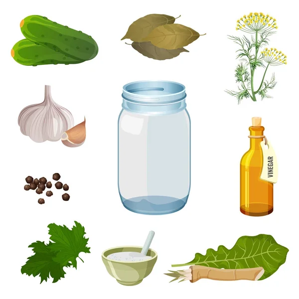 Lege pot en verse ingrediënten voor de voorbereiding van de augurken — Stockvector