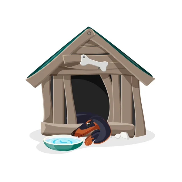 Vecchia casa in rovina fatiscente in legno, casa per cani — Vettoriale Stock