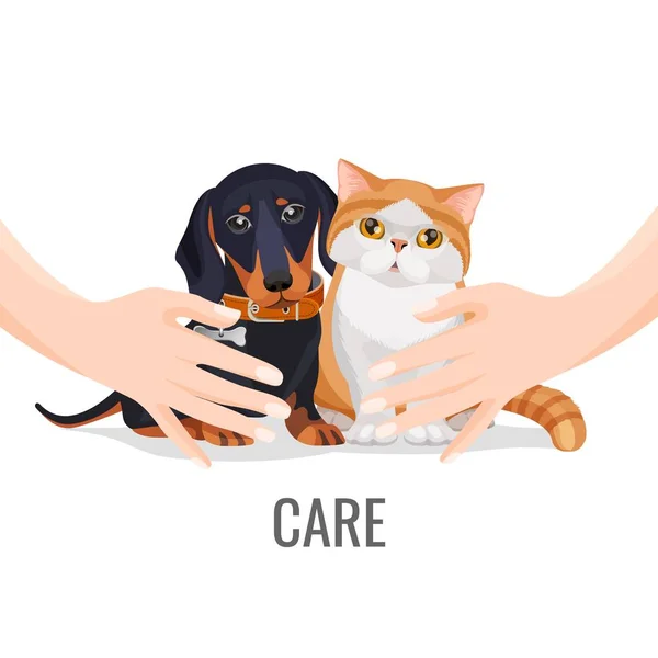 Les mains humaines prennent soin des animaux mignons chien et chat — Image vectorielle