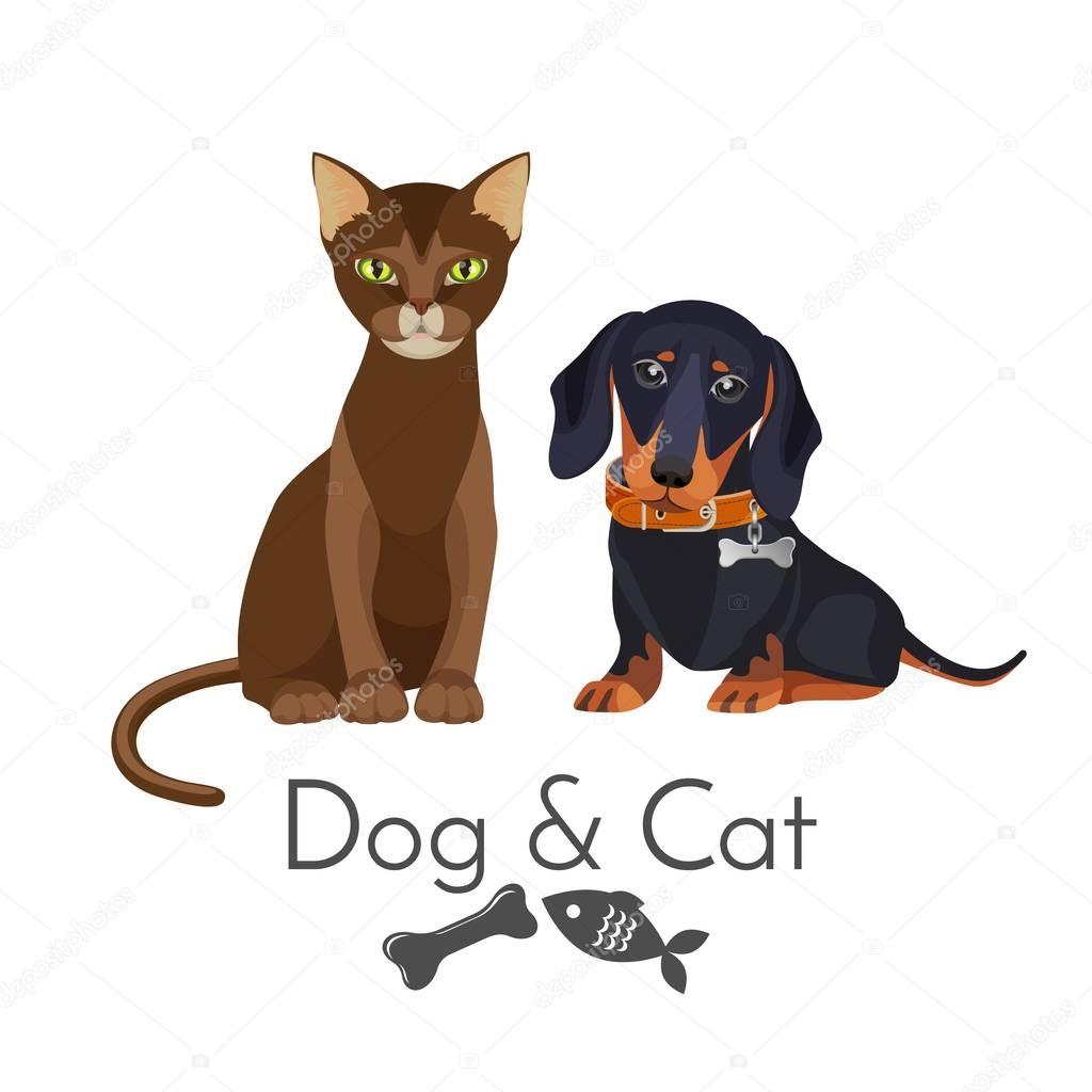 Dog and cat of pure breed promotional poster