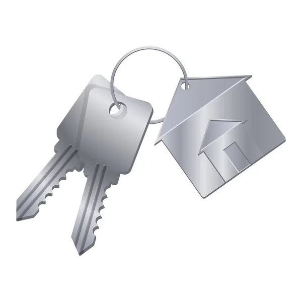 闪亮的金属钥匙与银色饰品从梦幻之家 — 图库矢量图片