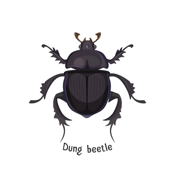 Black dung beetle that has strong unpleasant smell — Stock Vector