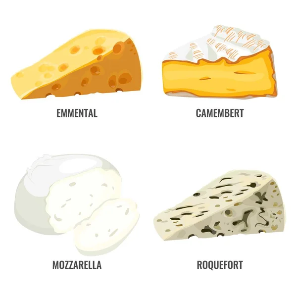 Emmental camembert mozzarellou a roquefort kolekce sýrů — Stockový vektor