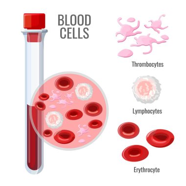 Blood cells research poster with sample in glass flask clipart
