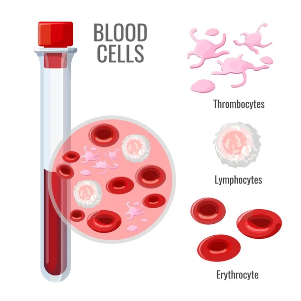 Affiche de recherche sur les cellules sanguines avec échantillon en fiole de verre — Image vectorielle