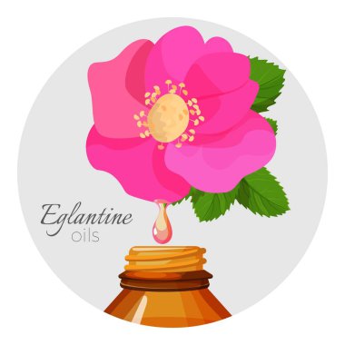 Eglantin yağlar promo poster yabani gül çiçek ve şişe