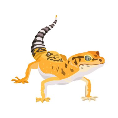 Gecko kertenkele hayvanı. Beyaz arka planda izole edilmiş doğal hayatta sürüngen. Vektör