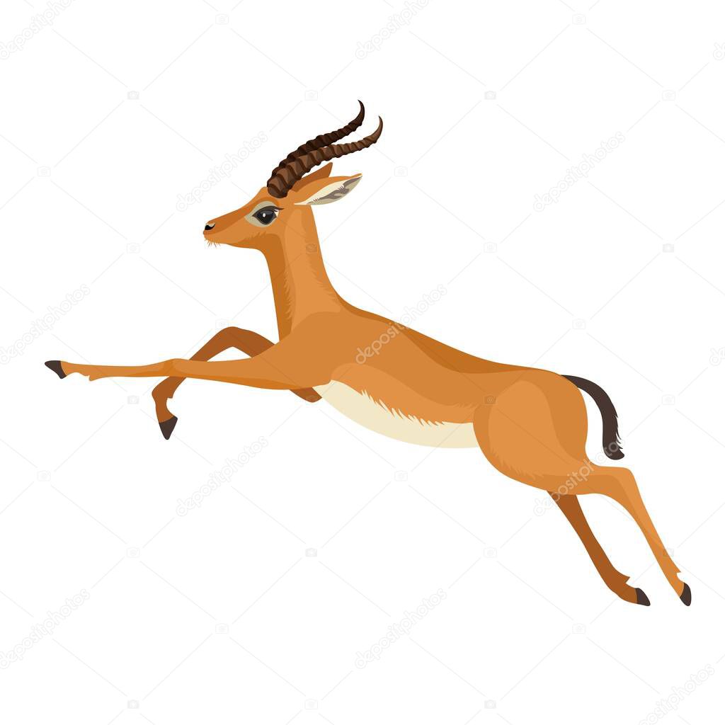Gazelle or antelope with horn running in wildlife. African mammal animal. Vector illustration