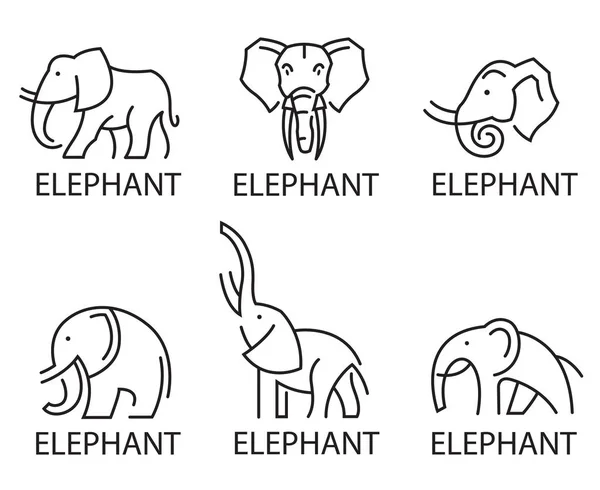 Zestaw ikon słoń — Wektor stockowy