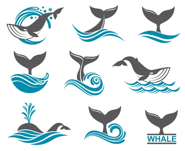 Conjunto de iconos abstractos de ballena — Vector de stock