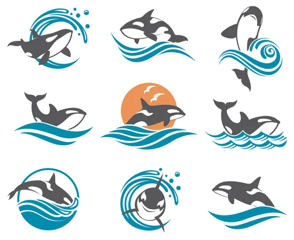 Conjunto de iconos abstractos de ballena — Vector de stock