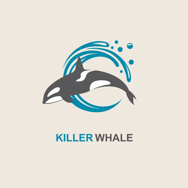 Killer whale icon — Stock Vector