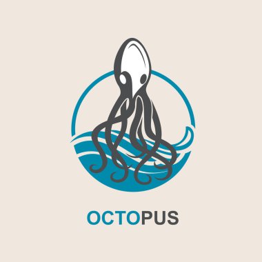 Ahtapot görüntüleri