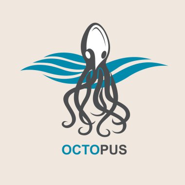 Ahtapot görüntüleri