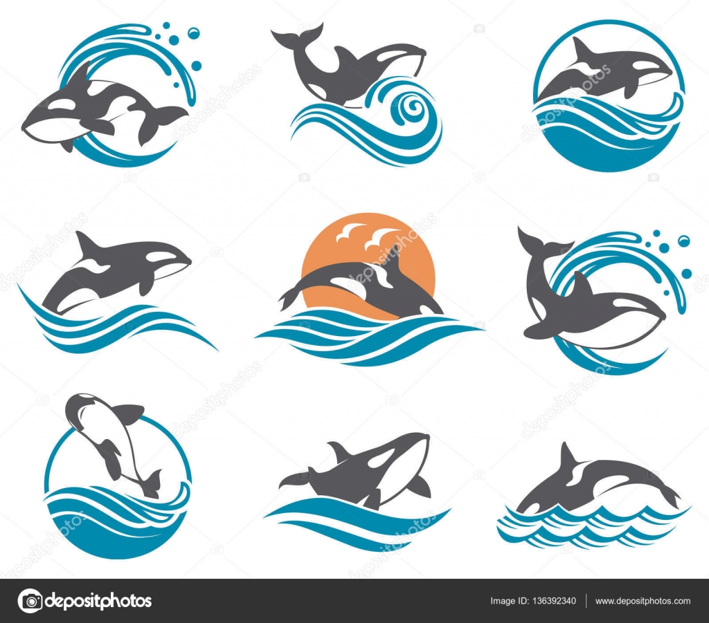 グランパスストックベクター ロイヤリティフリーグランパスイラスト Depositphotos