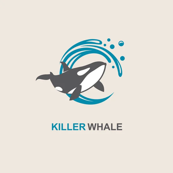 Ícone de baleia assassina — Vetor de Stock