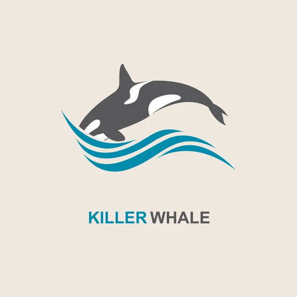Icona della balena assassina — Vettoriale Stock