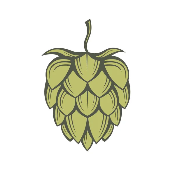 Image du houblon — Image vectorielle