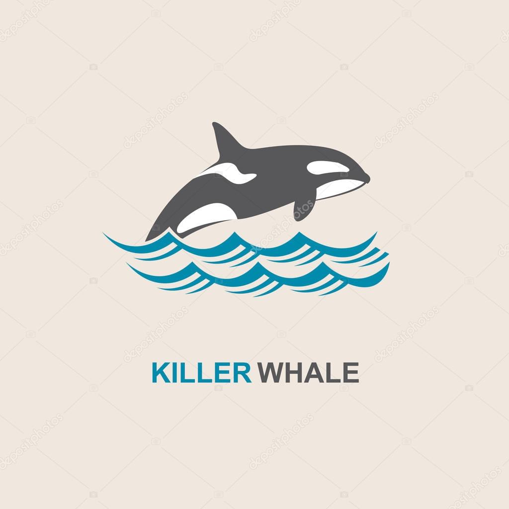 killer whale icon