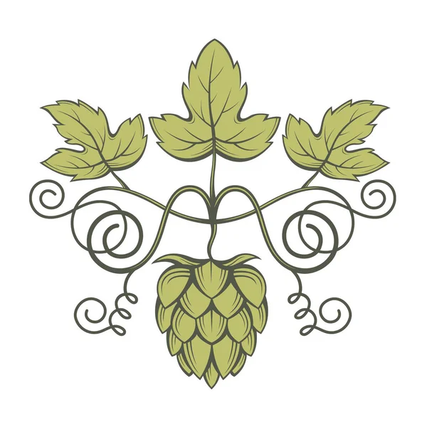 Image du houblon — Image vectorielle