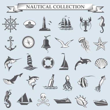 Deniz öğeleri koleksiyonu 