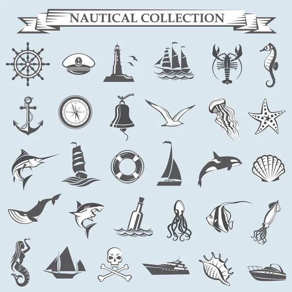 Nautical elements collection — Stock Vector