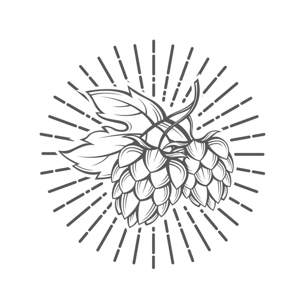 Образ хмеля — стоковый вектор