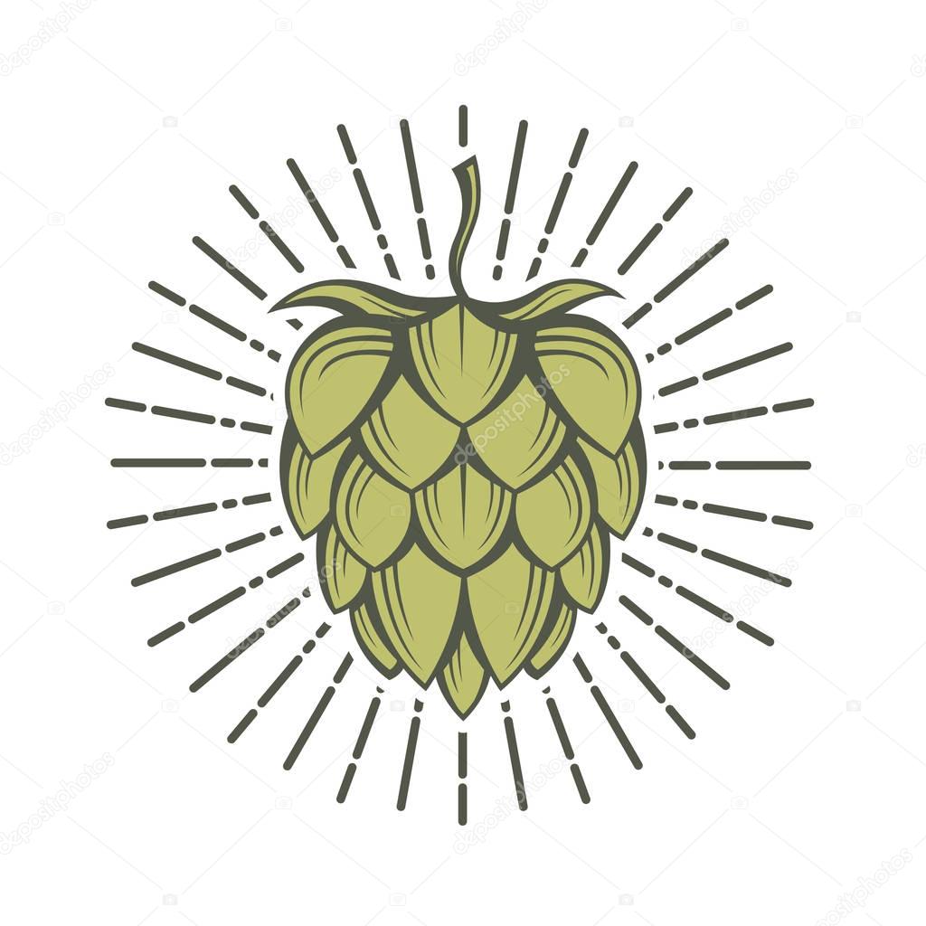 imagem de lúpulo — Vetor de Stock © alexkava #147772589