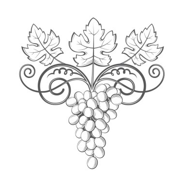 üzüm demet görüntü