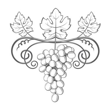 üzüm demet görüntü