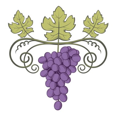 üzüm demet görüntü