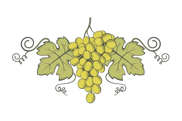 Виноград пучки зображення — стоковий вектор