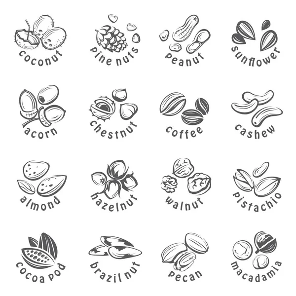 Noten icons set — Stockvector