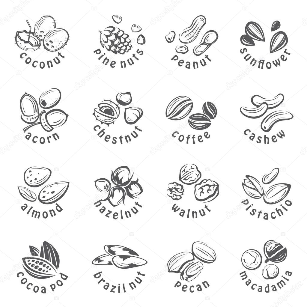 Collection of monochrome nuts icons
