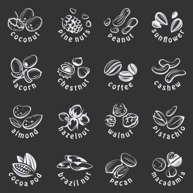 fındık Icons set