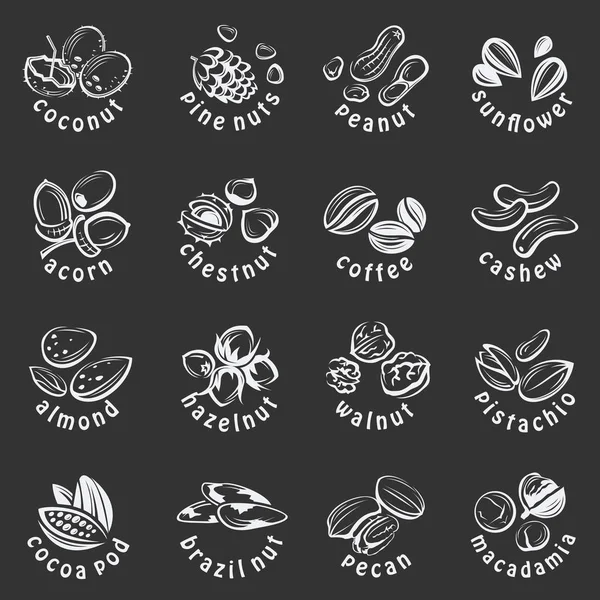 Conjunto de iconos de frutos secos — Vector de stock