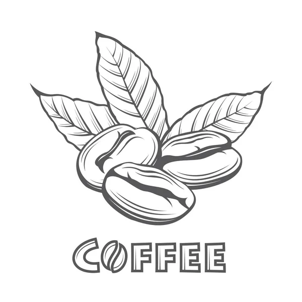 Imagen rama de café — Vector de stock