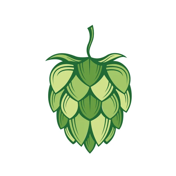 Image du houblon — Image vectorielle