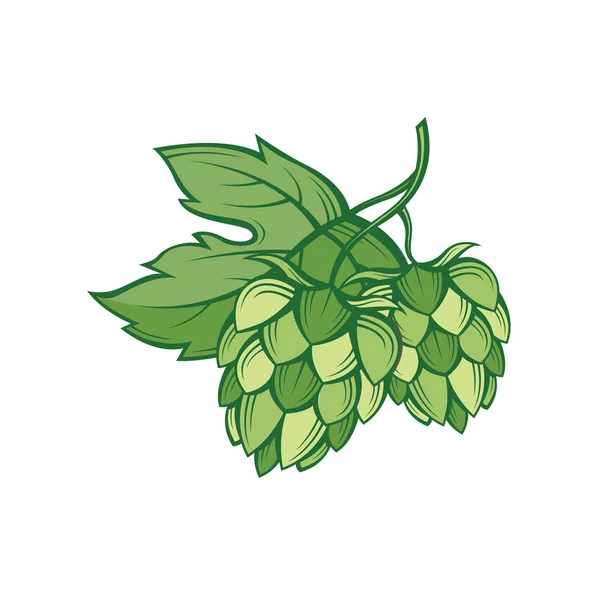 Image du houblon — Image vectorielle